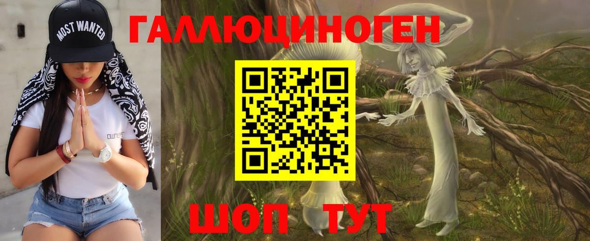 Псилоцибиновые грибы мицелий Симферополь